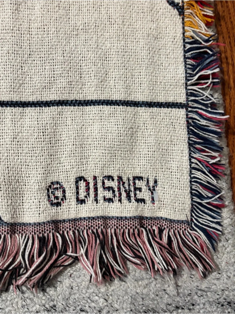 Vtg Disney Cinderella Woven Tapestry Blanket Throw Dreams Do Come True 90s Y2K